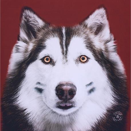 Quadro Husky Rosso