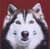 Tableau husky rouge