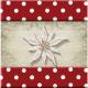 Interrupteur décoré edelweiss poids rouge