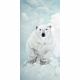 Toile sur chassis ours blanc vu de haut