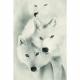 Toile sur chassis loups blanc