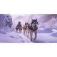 Expédition musher ia impression sur dibond