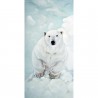 Quadro su tela Orso Bianco dall’Alto