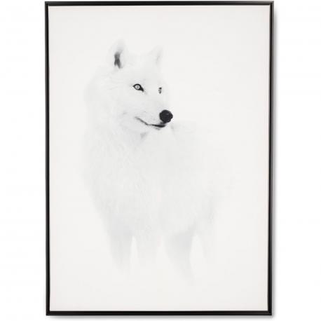 Tableau loup blanc avec encadrement noir