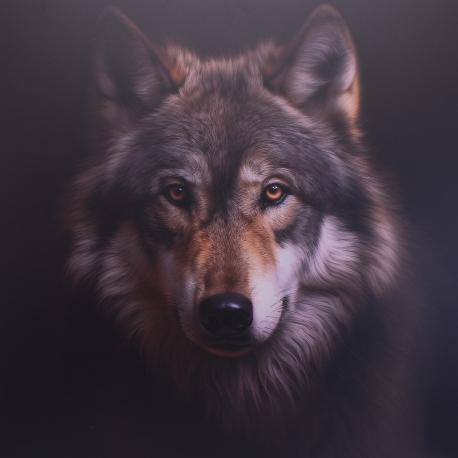 Loup majestueux sur dibond