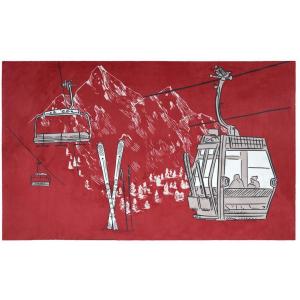 Tapis villard télécabine
