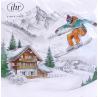 Paquet serviettes ski vacations