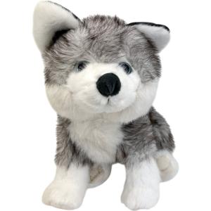 Sweet husky