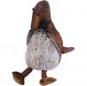 Cale porte canard