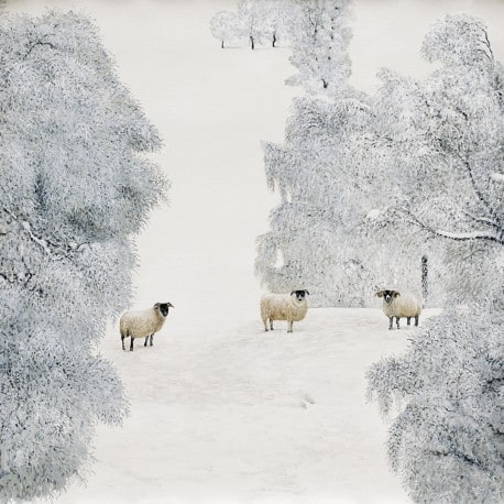 Tableau blanc moutons  dans la neige