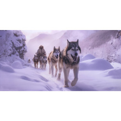 Expédition musher ia impression sur dibond - 60x30