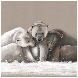 Tela su telaio famiglia orsi raggruppata - 40x40