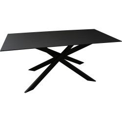 Crossed-leg metal table with Fenix Maxxi top - Fenix noir | 160x76x100 | 2 allonges de 50 cm