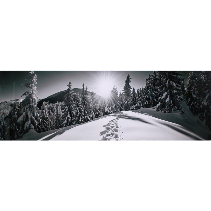 Neve fresca e foresta chromaluxe