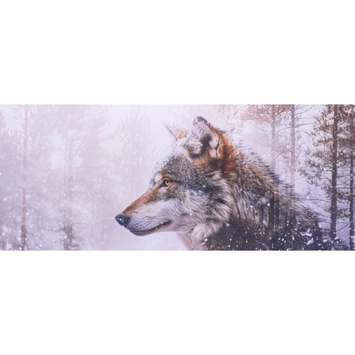 Lupo/foresta stampa su dibond
