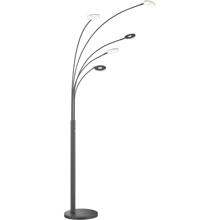Multi LED 5-arm floor lamp