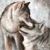 Couple de loup