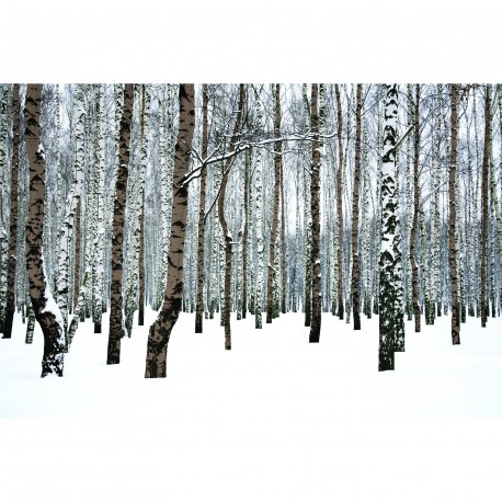 Tableau foret dans la neige