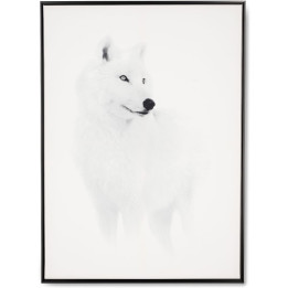Quadro lupo bianco con cornice nera