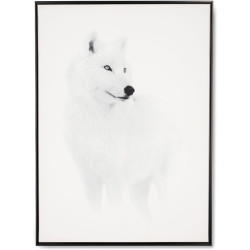 Tableau loup blanc avec encadrement noir - 64x94