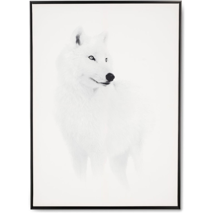 Quadro lupo bianco con cornice nera