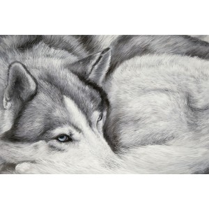 Toile sur chassis husky dormeur