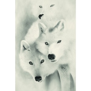 Toile sur chassis loups blanc