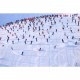 Tableau premières pistes christian arnal
