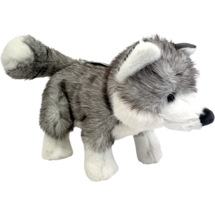 Sweet husky