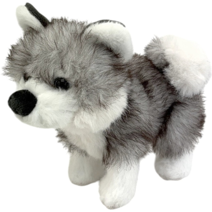Baby husky