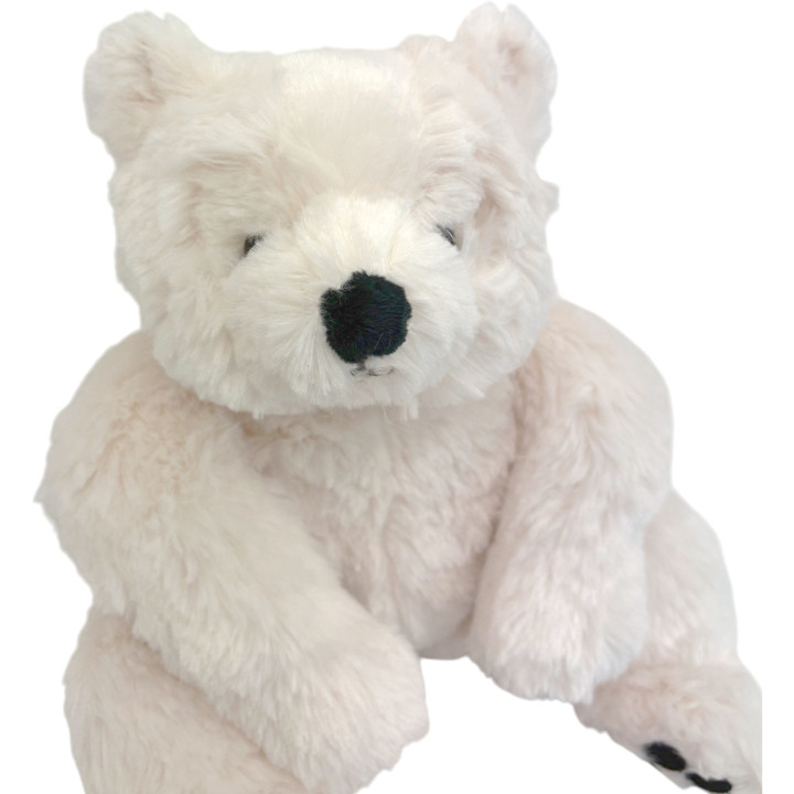 Baby antonio, the teddy bear