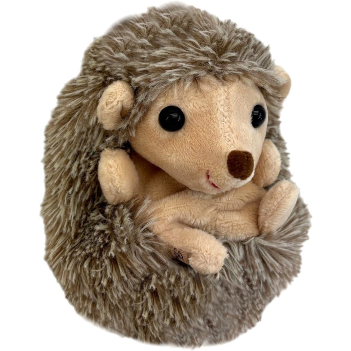 Hubert the curled-up hedgehog