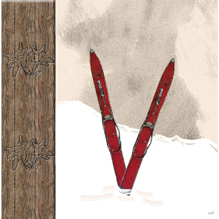 Decorated red ski light switch