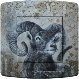 Decorated switch mouflon
