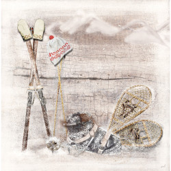 Interruttore decorato attrezzature sport invernali - Interrupteur simple