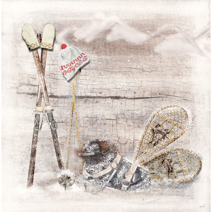 Interruttore decorato attrezzature sport invernali