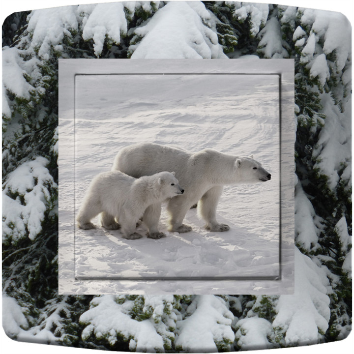 Interruttore decorato mamma orso e il suo cucciolo