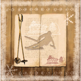 Decorative switch skier book