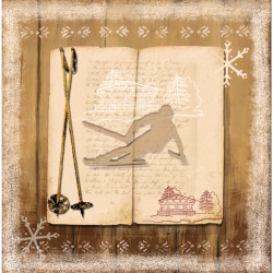 Interrupteur décoré livre skieur - Interrupteur simple
