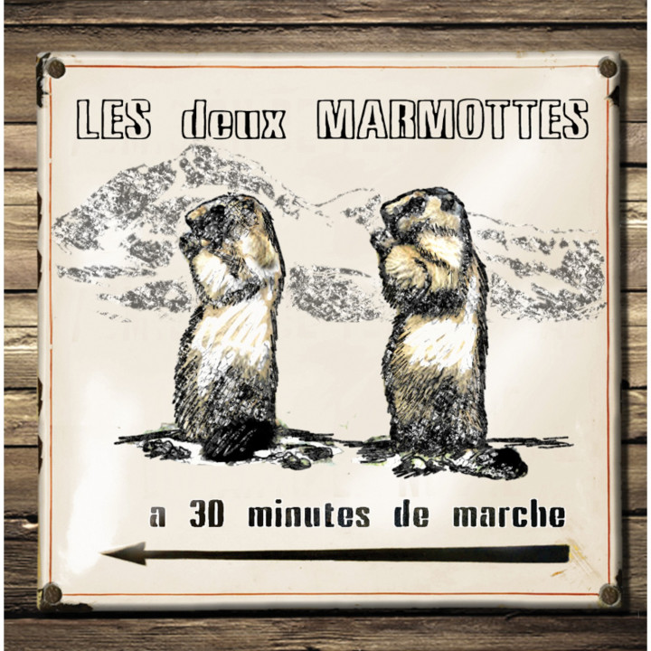 Interruttore decorato le due marmotte