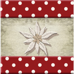 Interrupteur décoré edelweiss poids rouge - Interrupteur simple
