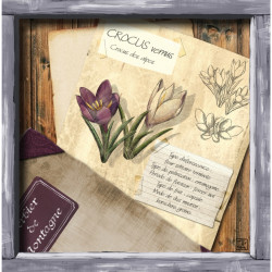 Decorated switch crocus - Interrupteur simple